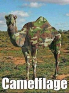 Stupid Bar Memes ad7c0ff4sfc96s4baas9d74s8e77a31d476e