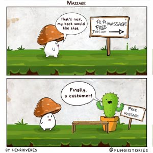 Stupid Bar Memes aeQXVyWs700b