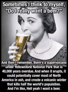 Stupid Bar Memes b11d5f82a143df89