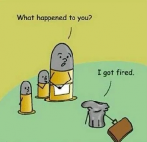 Stupid Bar Memes b5749e4c673cec4b