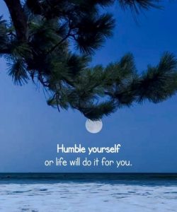Stupid Bar Memes b5fc7d17813891d6