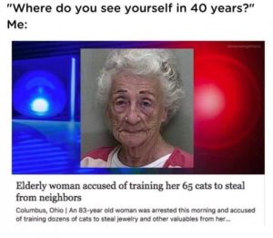Stupid Bar Memes b769eeb0c000e356