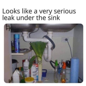 Stupid Bar Memes bdfa1dab8c4c4066