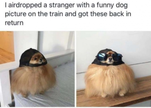 Stupid Bar Memes c355d2a4fe2c2647