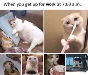 Stupid Bar Memes c583e86fa160ea5e