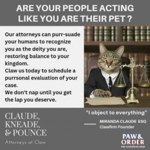 Stupid Bar Memes c6711b9f7af91b72