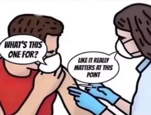 Stupid Bar Memes c843f9a338e9370f