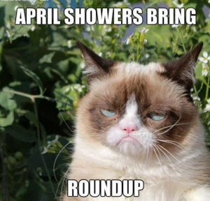 Stupid Bar Memes c8f0d7s0b083174c2da44739c03989abbb87c1dmv2