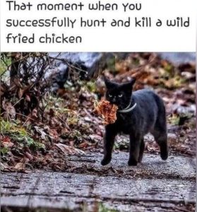 Stupid Bar Memes ccadfcadfd839fc7