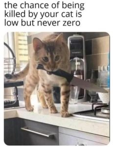 Stupid Bar Memes ccd9ffcada5263ea