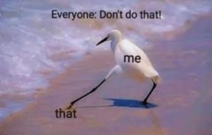 Stupid Bar Memes cdac5c70ca7342ec