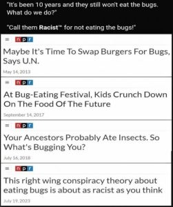 Stupid Bar Memes d61f2d37cf6078c8