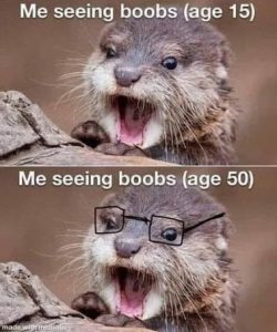 Stupid Bar Memes d78820fb46df738c