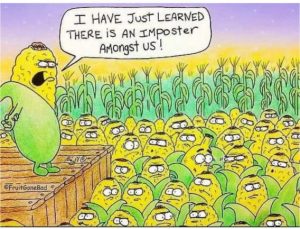 Stupid Bar Memes db3297eb355cedcc
