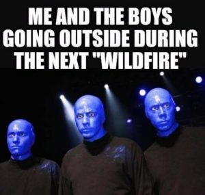 Stupid Bar Memes de06327c68df5720