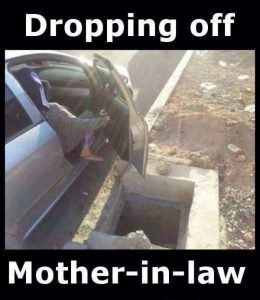 Stupid Bar Memes droppingsoffsmothersinslaw