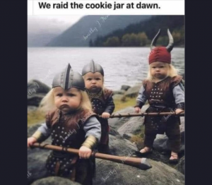 Stupid Bar Memes e1e41bf9ba5f3e47