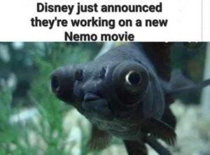 Stupid Bar Memes e260f923e54356a4
