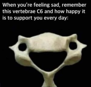 Stupid Bar Memes e3f012f7c4864c03