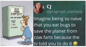 Stupid Bar Memes e416ac478a3d1e68