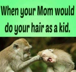 Stupid Bar Memes e6f5342f5cda5d3d