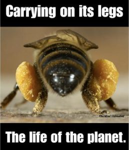Stupid Bar Memes f79c427d4dac5fa8