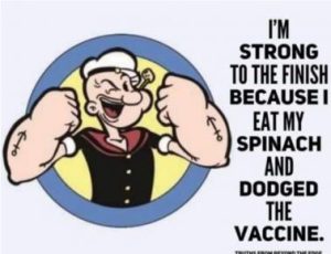 Stupid Bar Memes fc86862028e69786