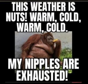 Stupid Bar Memes ffdbe2ce325659cf