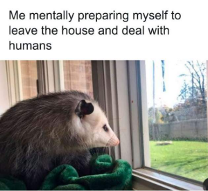 Stupid Bar Memes freudsintensifiessfunnysmemess14s65f44c69a14b9ss700