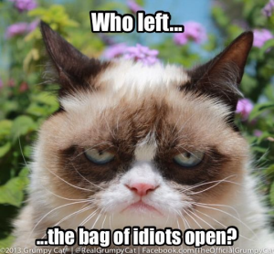 Stupid Bar Memes gcat3