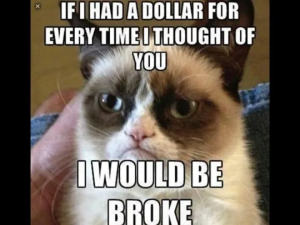 Stupid Bar Memes hgt6854
