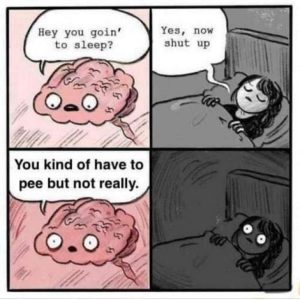 Stupid Bar Memes lKw9Ojd