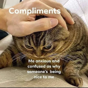 Stupid Bar Memes oImlRv9