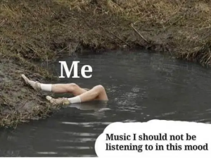 Stupid Bar Memes pItxurU