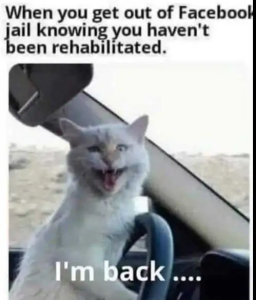 Stupid Bar Memes politicallyinco4rtgh