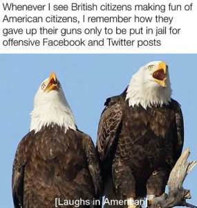 Stupid Bar Memes politicallyincorrecthumor s8s