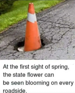 Stupid Bar Memes politicallyincorrecthumor s9s