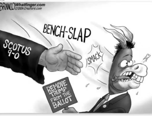 Stupid Bar Memes politicallyincorrecthumors2s 1
