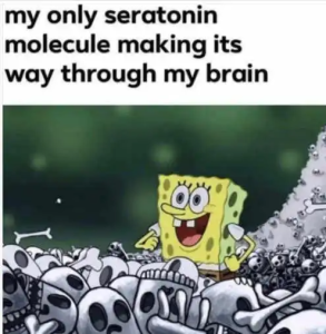 Stupid Bar Memes politicallyincorrecthumors3s