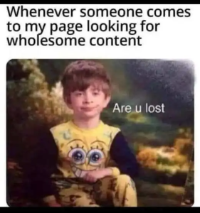 Stupid Bar Memes politicallyincorrecthumors4s