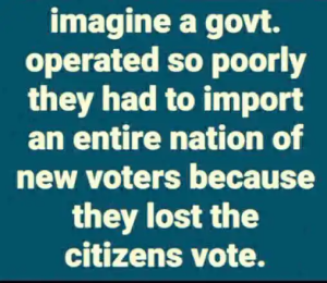 Stupid Bar Memes politicallyincorrecwswww