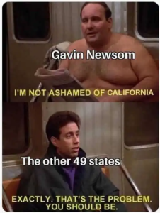 Stupid Bar Memes politicallyincorrert556yy