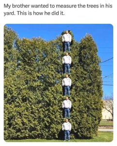 Stupid Bar Memes shitheadsteves433140769s18428318938006630s6728422274657623951sn