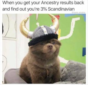 Stupid Bar Memes whensyousgetsresults