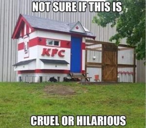 Stupid Bar Memes youresbeforeshouse