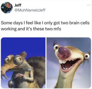 Stupid Bar Memes youresbrainscells