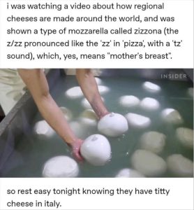 Stupid Bar Memes yourescheeses