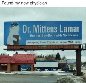 Stupid Bar Memes youresdoctor