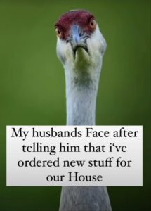 Stupid Bar Memes youresface