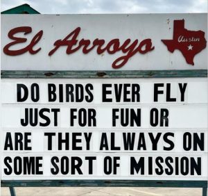 Stupid Bar Memes youresflying